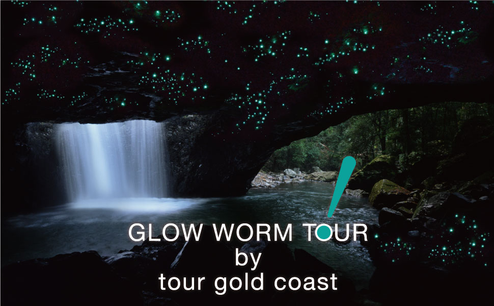 glow worm caves tour gold coast