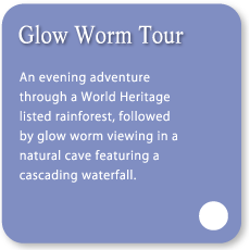 glow-worm