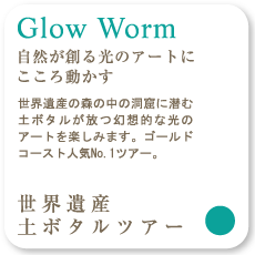 Glow Worm