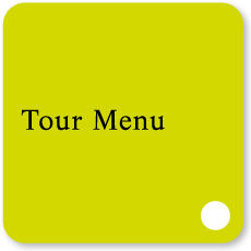 Optional Tour Menu