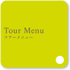 Optional Tour Menu