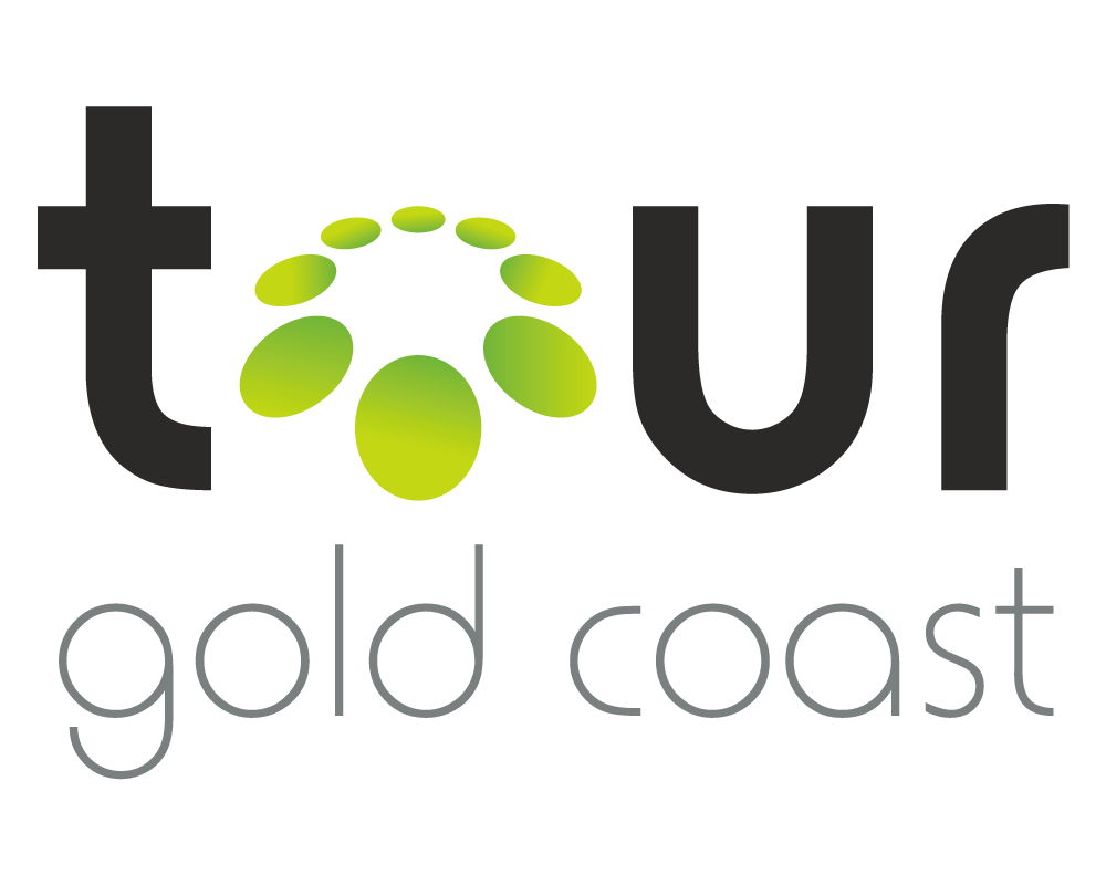 クジラウォッチングツアー ツアートピック Tour Gold Coast