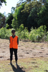 Greenfleet Planting 2