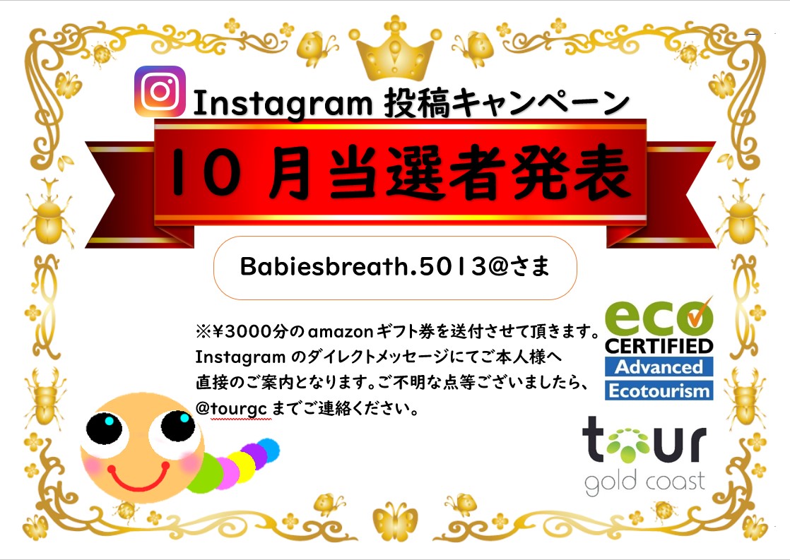 10月の当選者発表 インスタグラム キャンペーン Tour Gold Coast